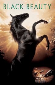Black Beauty