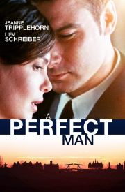 A Perfect Man