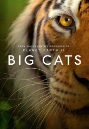 Big Cats