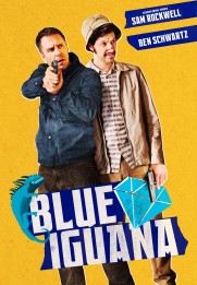 Blue Iguana