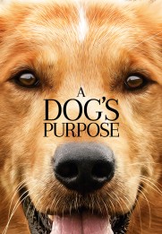 A Dog's Purpose