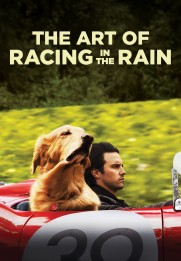 The Art of Racing in the Rain