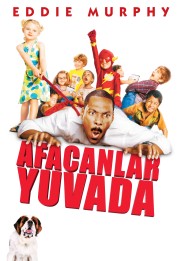 Daddy Day Camp
