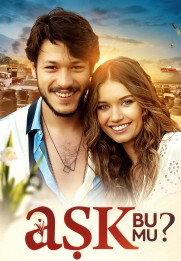 Ask Bu Mu?