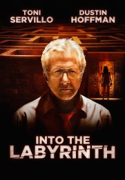 Into the Labyrinth
