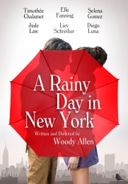 A Rainy Day in New York