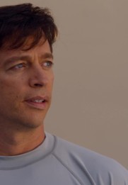 Dolphin Tale 2