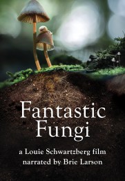 Fantastic Fungi