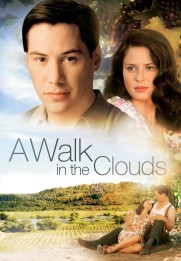 A Walk in the Clouds