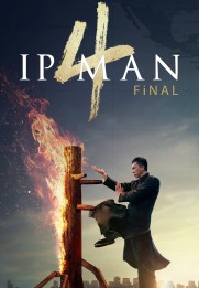 Yip Man 4