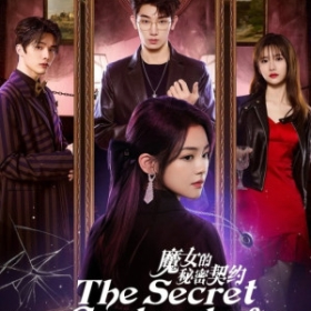 The Secret Contract of the Witch