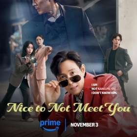 Nice to Not Meet You