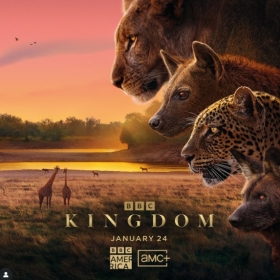 Kingdom