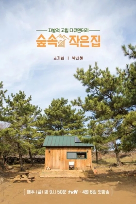 Little House In The Forest