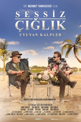 Sessiz Çığlık