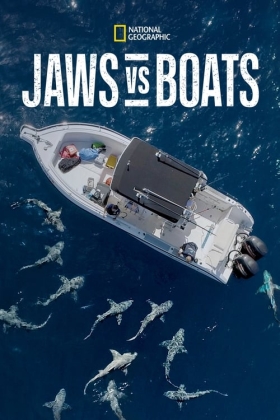 Need A Bigger Boat