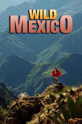 Wild Mexico