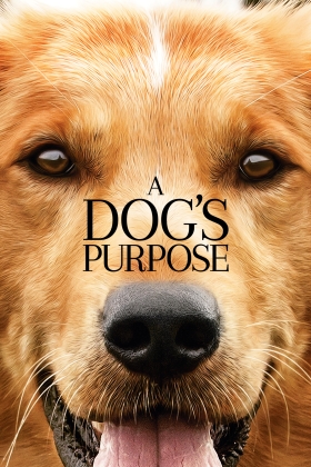 A Dog's Purpose