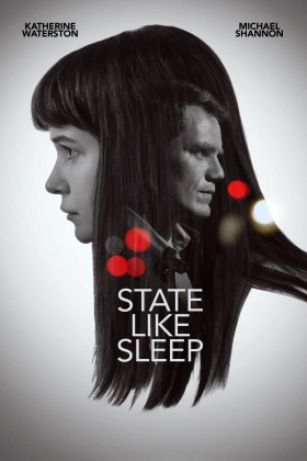 State Like Sleep