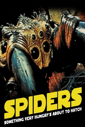 Spiders