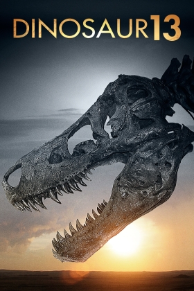 Dinosaur 13
