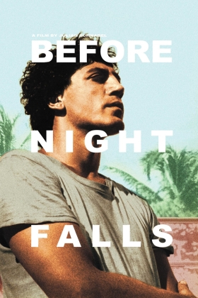 Before Night Falls
