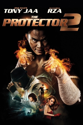 The Protector 2