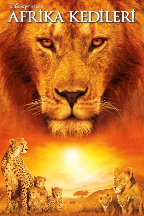 African Cats