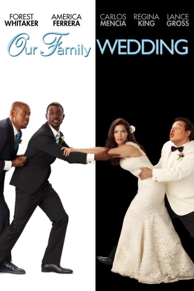 Our Family Wedding
