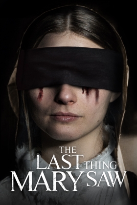 The Last Thing Mary Saw