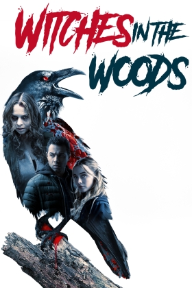 Witches in the Woods