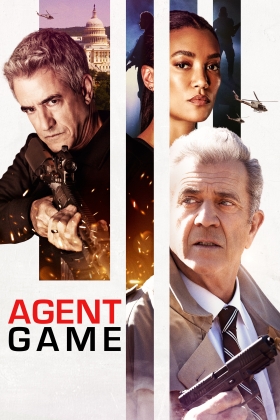 Agent Game