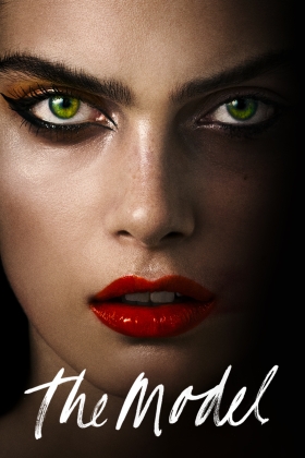 The Model