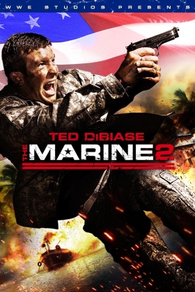 The Marine 2
