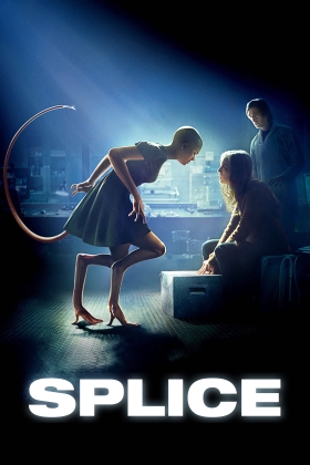 Splice