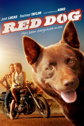 Red Dog