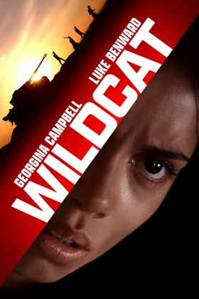Wildcat