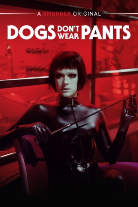 Dogs Don't Wear Pants