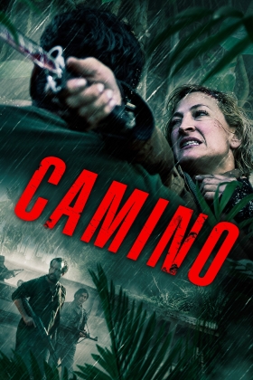 Camino