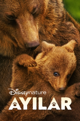 Bears