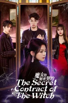 The Secret Contract of the Witch