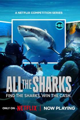 All the Sharks