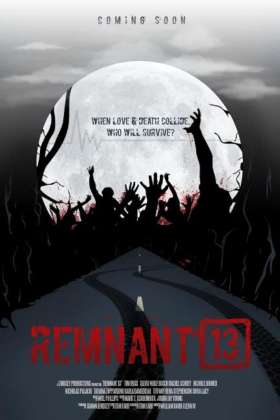 Remnant 13