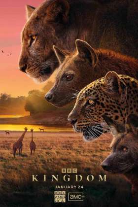 Kingdom