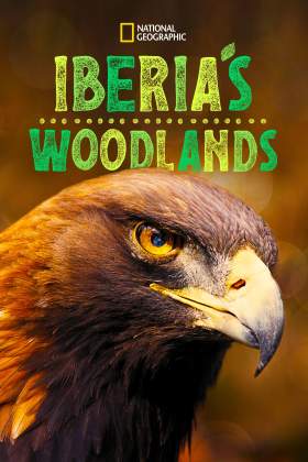 Iberia's Woodlands- Life on the Edge