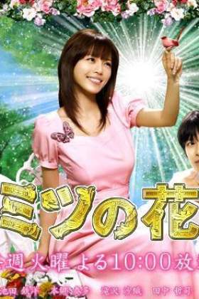 Himitsu no hanazono