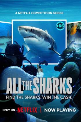 All the Sharks