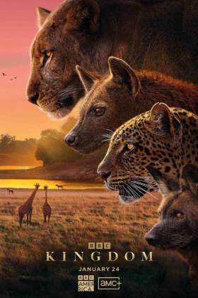 Kingdom