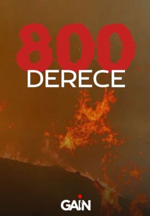 800 Derece