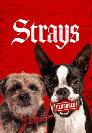 Strays
